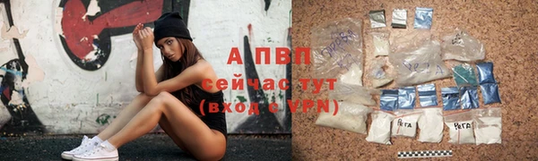 крисы Горно-Алтайск