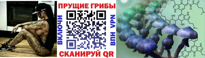 наркотики Томилино Галлюциногенные грибы мицелий